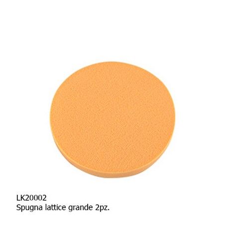 SPUGNA LATTICE (2PZ.) GRANDE